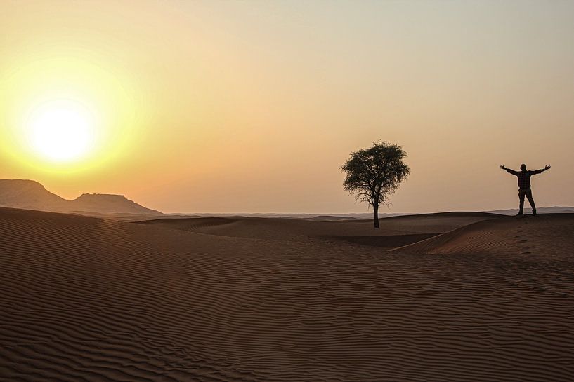 Desert, Dubai, United Arab Emirates by Travel Tips and Stories