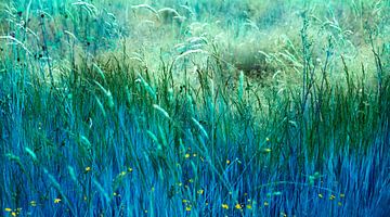 Blauw gras II van Corinne Welp