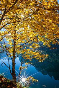 Doppelter Sonnenschein im Gosausee