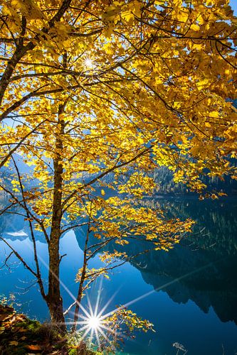 Doppelter Sonnenschein im Gosausee