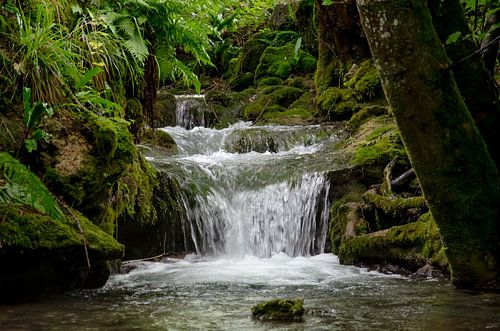 Brühlbach von NEWPICSONMYWALL by Andreas Bethge
