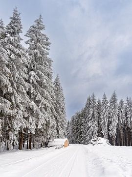 Winterlandschap in het Thüringer Woud bij Schmied van Rico Ködder