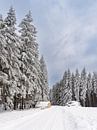Winterlandschap in het Thüringer Woud bij Schmied van Rico Ködder thumbnail