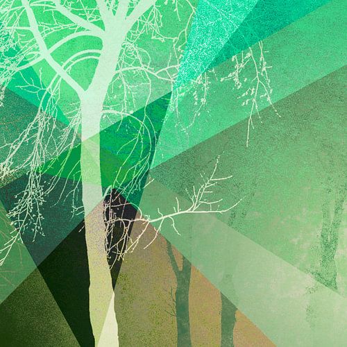 P22-B2 BOMEN EN DRIEHOEKEN