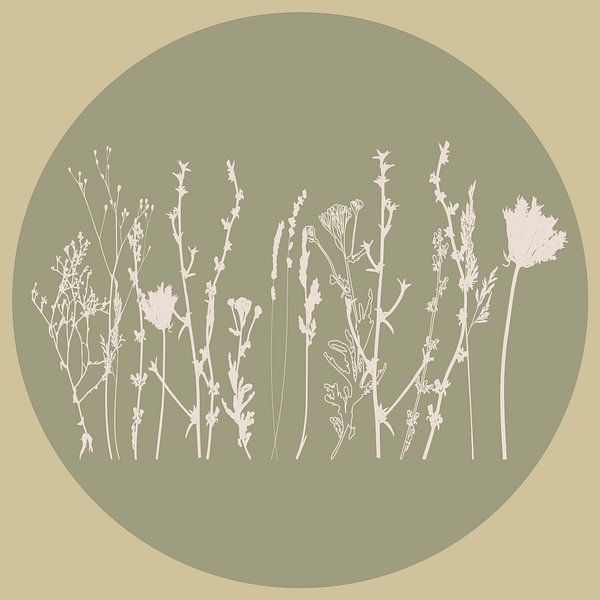 Scandinavian Meadow Minimalist Wildflowers in Sage Green no. 3 by Dina Dankers