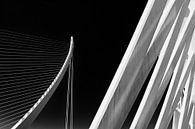 Assut de l'Or bridge in Valencia - black and white minimalism by Phillipson Photography thumbnail