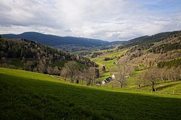 Val Dargent in de Vogezen bij Sainte Marie aux Mines van Rob Boon