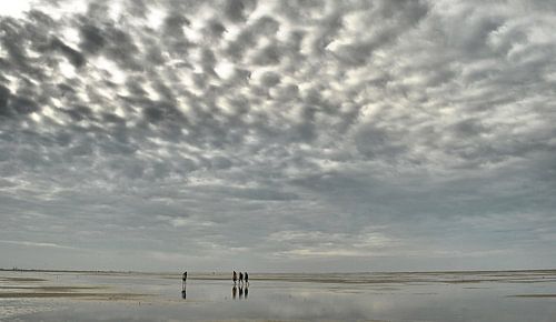 Das Wattenmeer