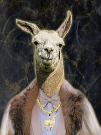 Arie Alpaca by Reinaerde Digiteam Woerden