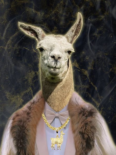 Arie Alpaca par Reinaerde Digiteam Woerden