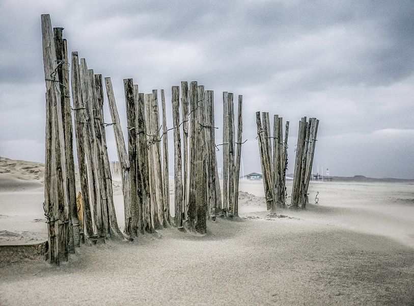 Strandleven! by Dirk van Egmond