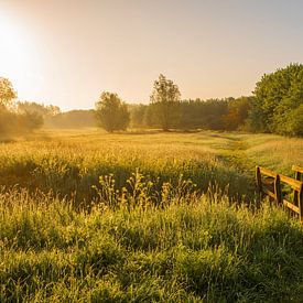 Gras, een bruggetje en een bomenrij bij zonsopkomst van Erwin van Eijden