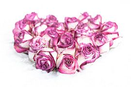 Heart of roses by Christianne Keijzer