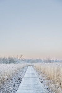 Winter in Friesland van Lydia