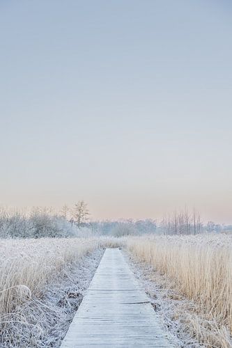 Winter in Friesland
