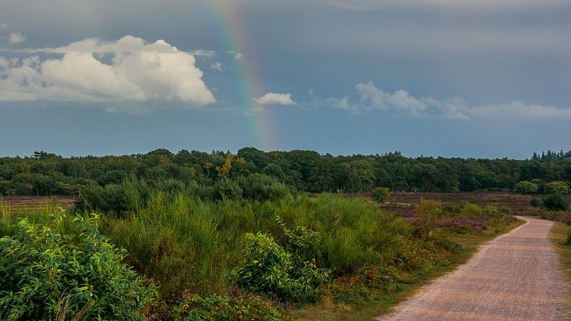 South Heath by Peter Veerman