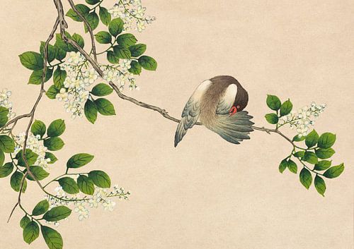 Preening Bird (18th Century), Zhang Ruoai