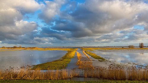 Hoogwater op de weilanden