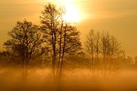 Mystische Momente