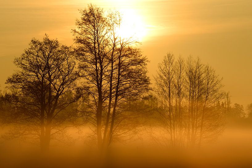 Mystische Momente by Lars Tuchel