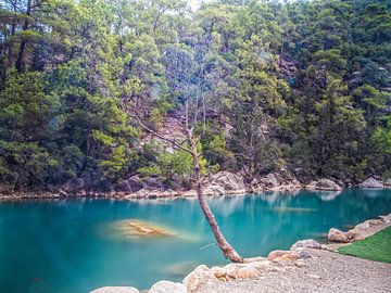 Prachtige Turquoise Gekleurde Waterval Water Goynuk Canyon van Nature Life Ambience