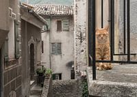 Balcony cat / Red cat sitting on a balcony seen through the bars in an old stre