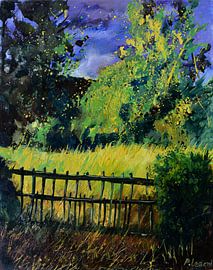 Licht voor de storm van pol ledent