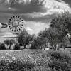 Insel Mallorca mit Windmühle und Finca in schwarzweiss. von Manfred Voss, Schwarz-weiss Fotografie