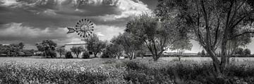 Insel Mallorca mit Windmühle und Finca in schwarzweiss. von Manfred Voss, Schwarz-weiss Fotografie