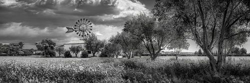 Eiland Mallorca met windmolen en finca in zwart-wit.