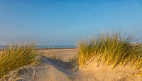 De zee achter de duinen van Bram van Broekhoven thumbnail