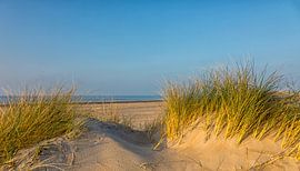 The sea behind the dunes by Bram van Broekhoven