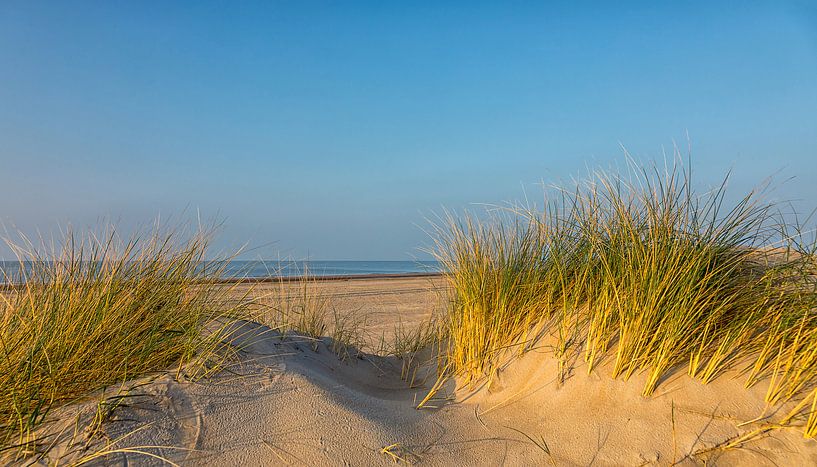 De zee achter de duinen van Bram van Broekhoven