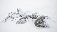 "Besneeuwde rotspartij" in de Vogezen van Kaj Hendriks thumbnail