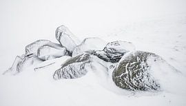 "Snow-covered rocks" in the Vosges by Kaj Hendriks