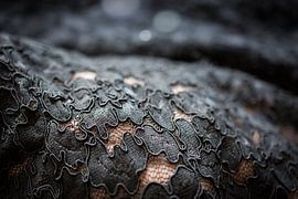 zwart kanten lijnen van Peter Hermus