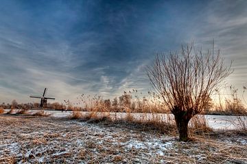 Winter van Christian Vermeer