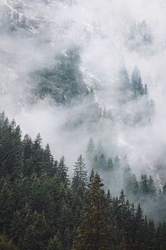 Stimmung in Österreich 