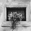 Door het raam van Verona | Italie | reisfotografie | zwartwitfotografie van Laura Dijkslag