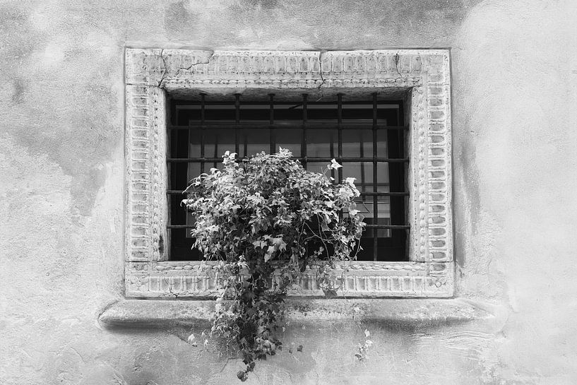 A travers la fenêtre de Vérone | Italie | photographie de voyage | photographie en noir et blanc par Laura Dijkslag