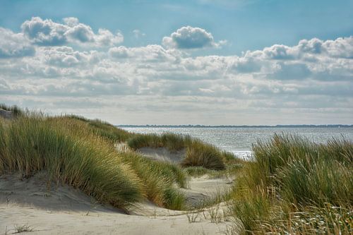 duinen
