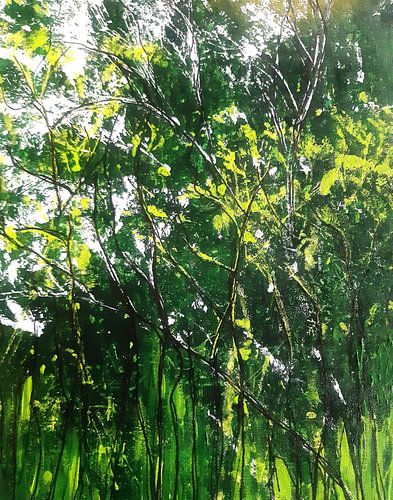 Arbres dans la forêt.