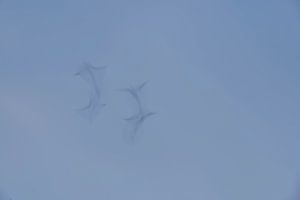 Dansen in de lucht