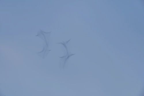 Danser dans les airs