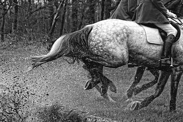 Horses in action van Wybrich Warns