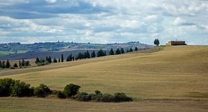 Bäume und Zypressen auf dem Land in der Toskana , Italien