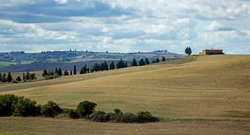 Boom en cipressen in het landschap van Toscane , Italië van Discover Dutch Nature