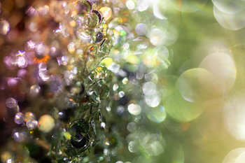 Bokeh strasswereld