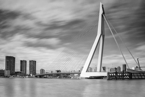 Erasmus bridge in black and white