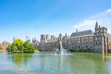 De Haagse Hofvijver met de regeringsgebouwen op het Binnenhof van Sjoerd van der Wal